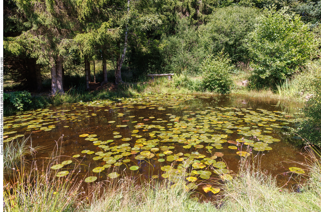 Teich am Nationalpark-Denkmal 