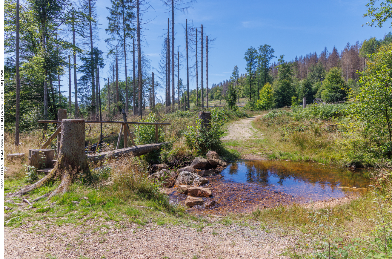 Brücke über den Taubenfloß 