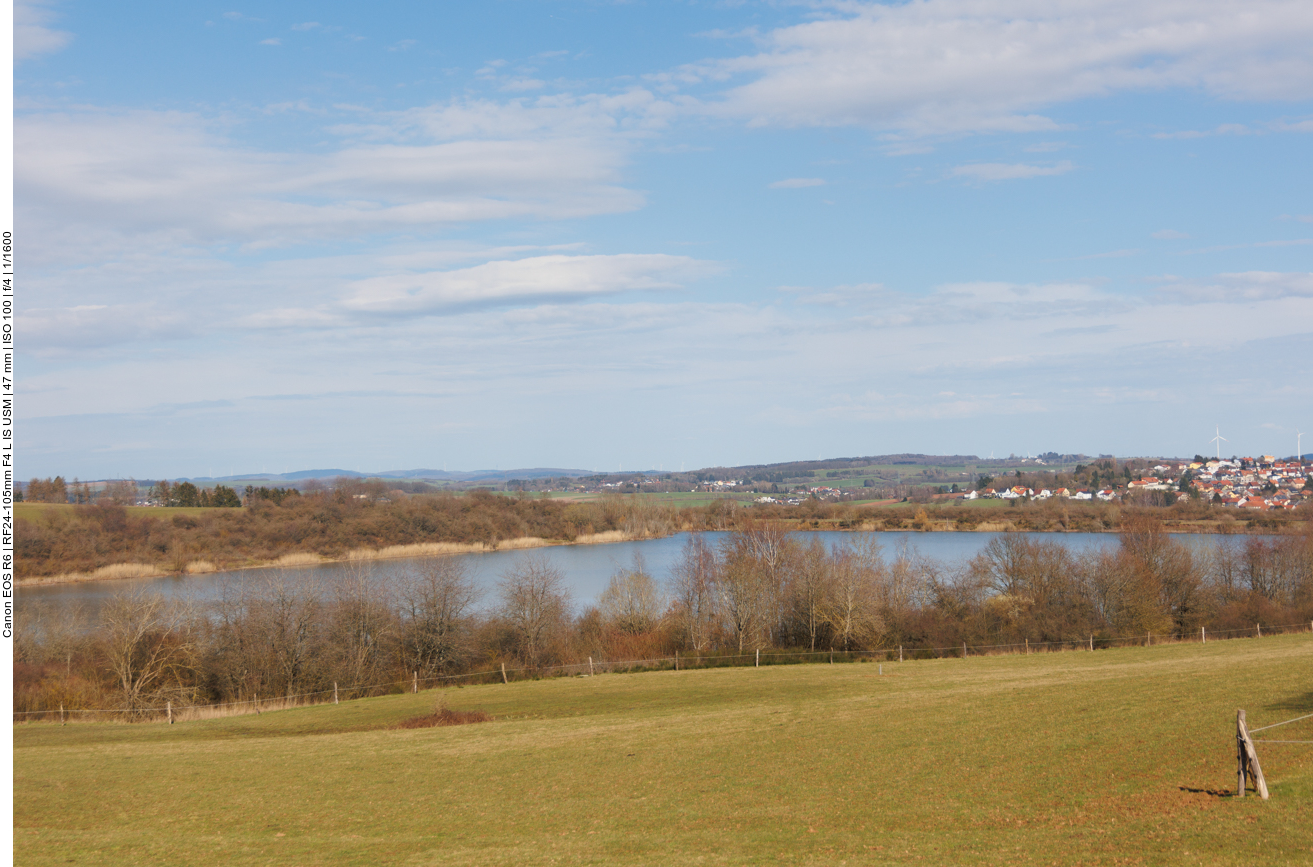 Blick über den Absinkweiher