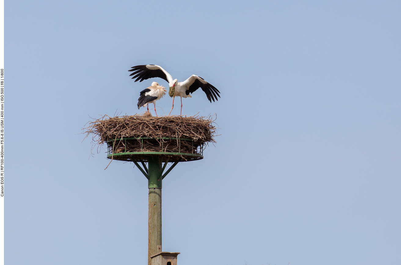 ... und touch down 