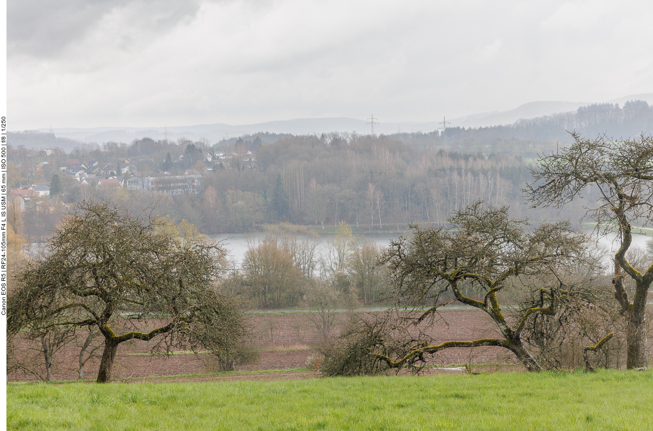 Zurück am Noswendeler See