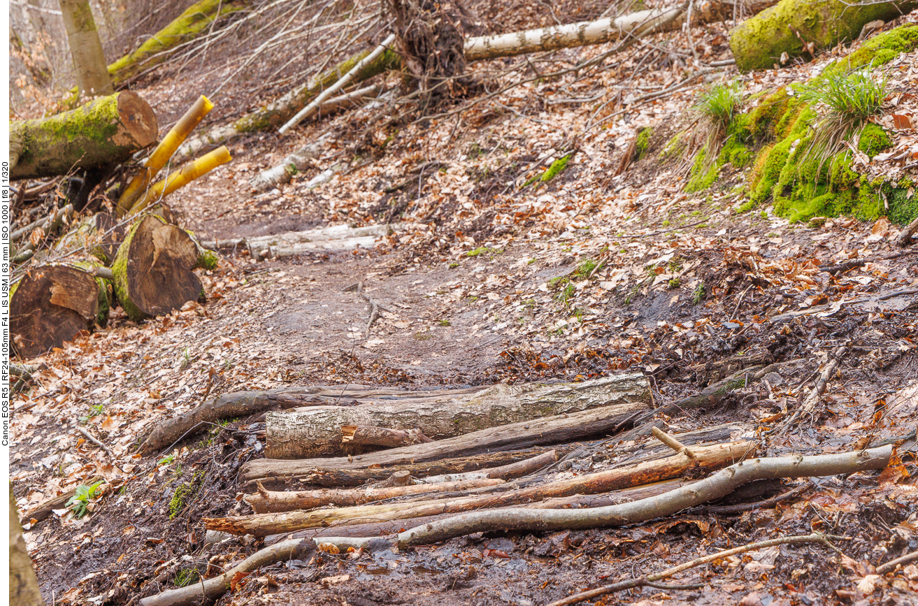 Schlammige Stelle mit Holzknüppeln entschärft