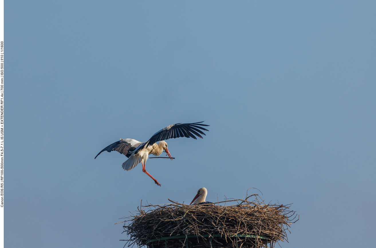 Landeanflug ... 