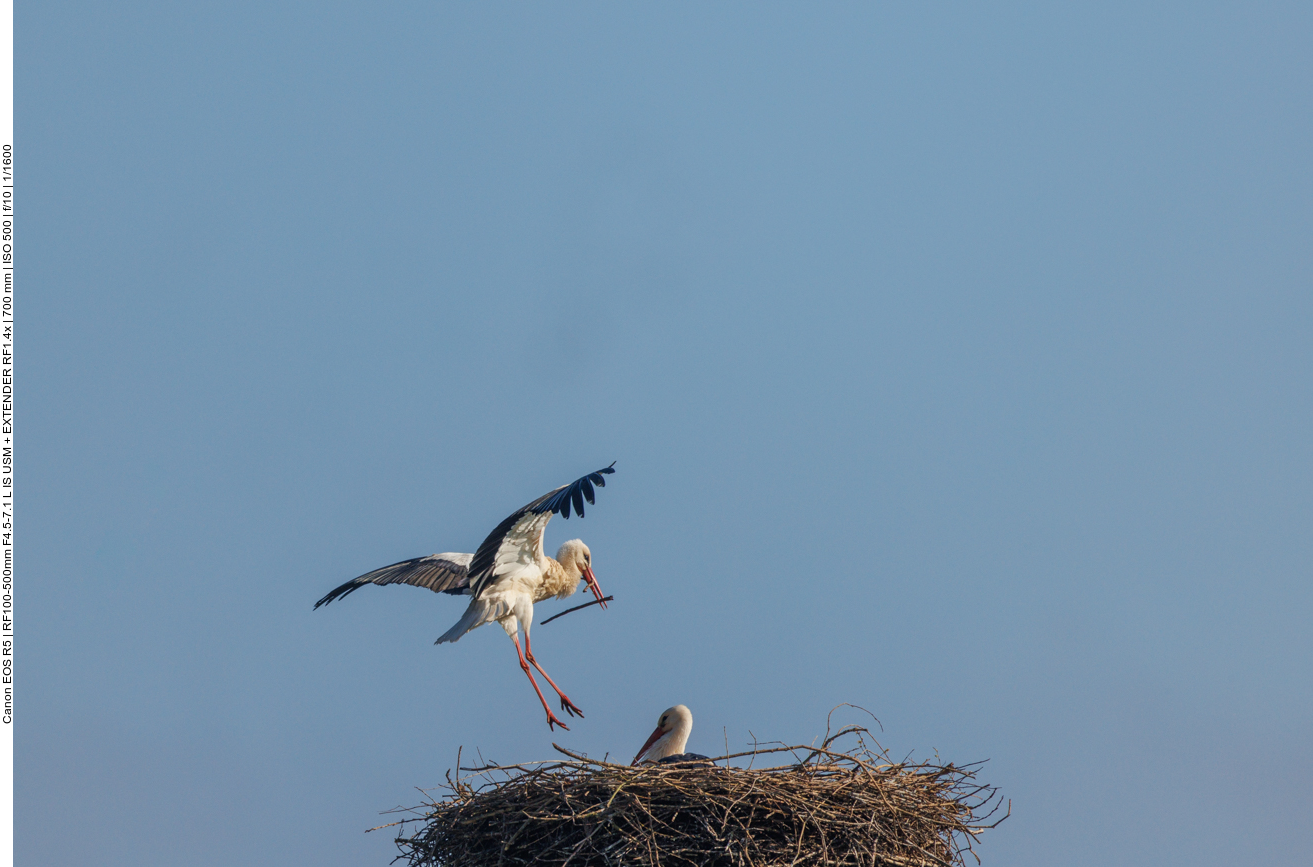 ... und Landung 