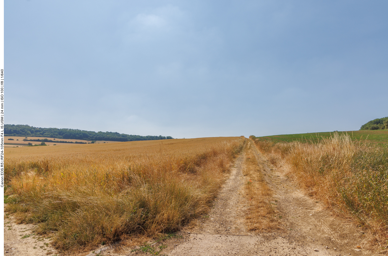 Auf dem Feldweg 