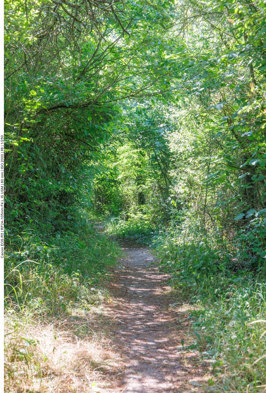 Weg mit "Baldachin"
