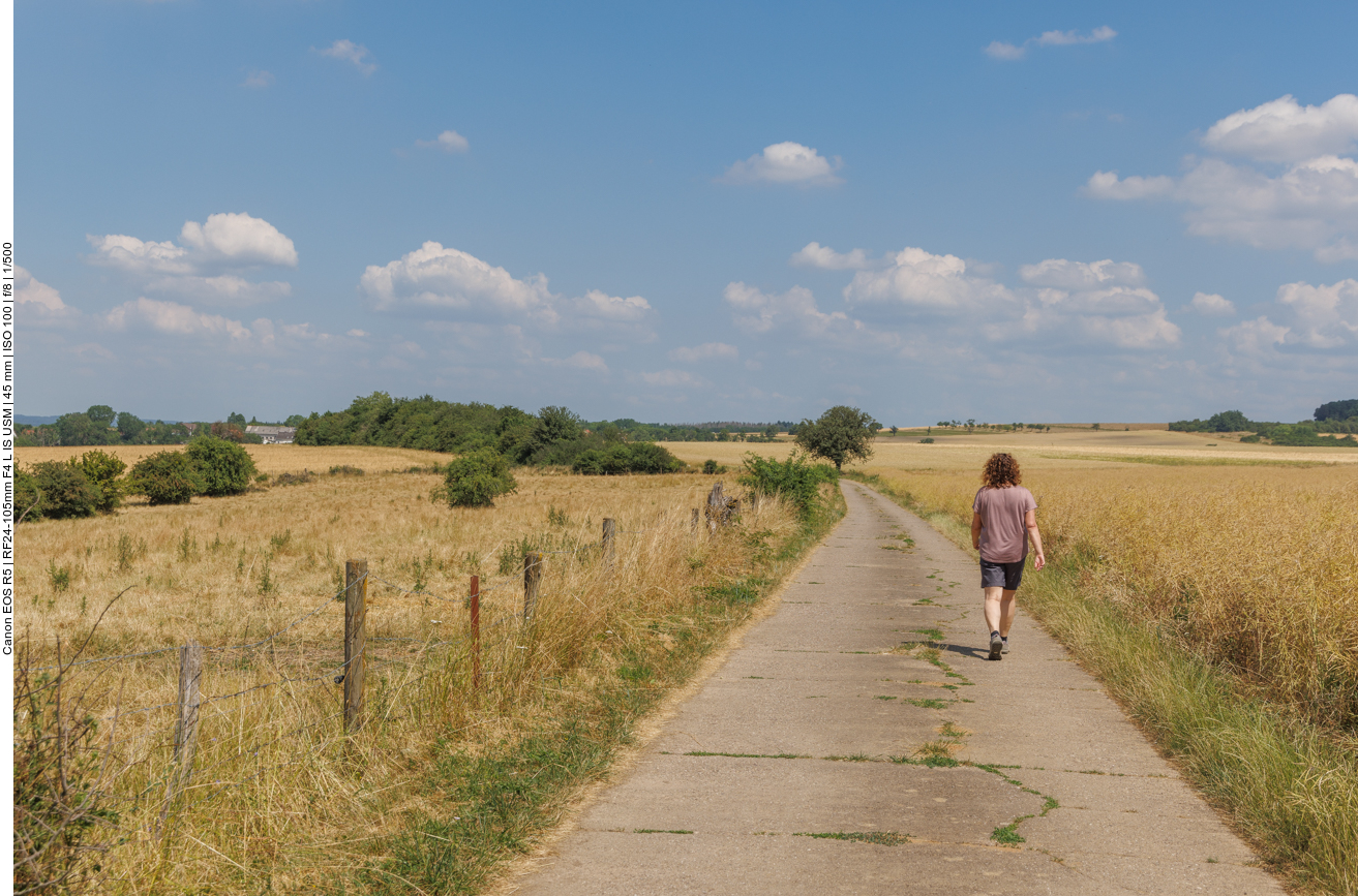 Auf dem Feldweg 