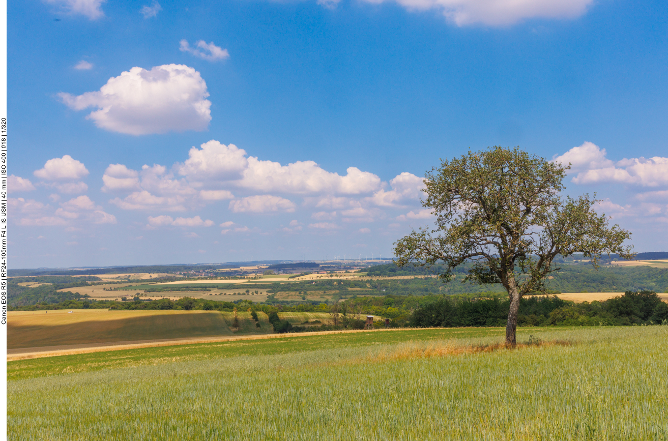 Offene Landschaft 