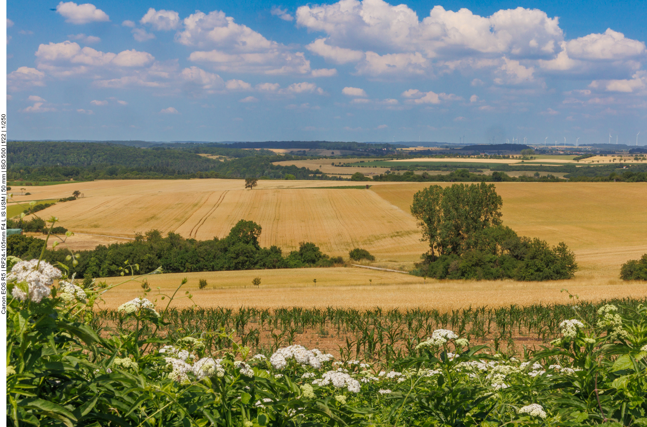 Felder und Wälder 
