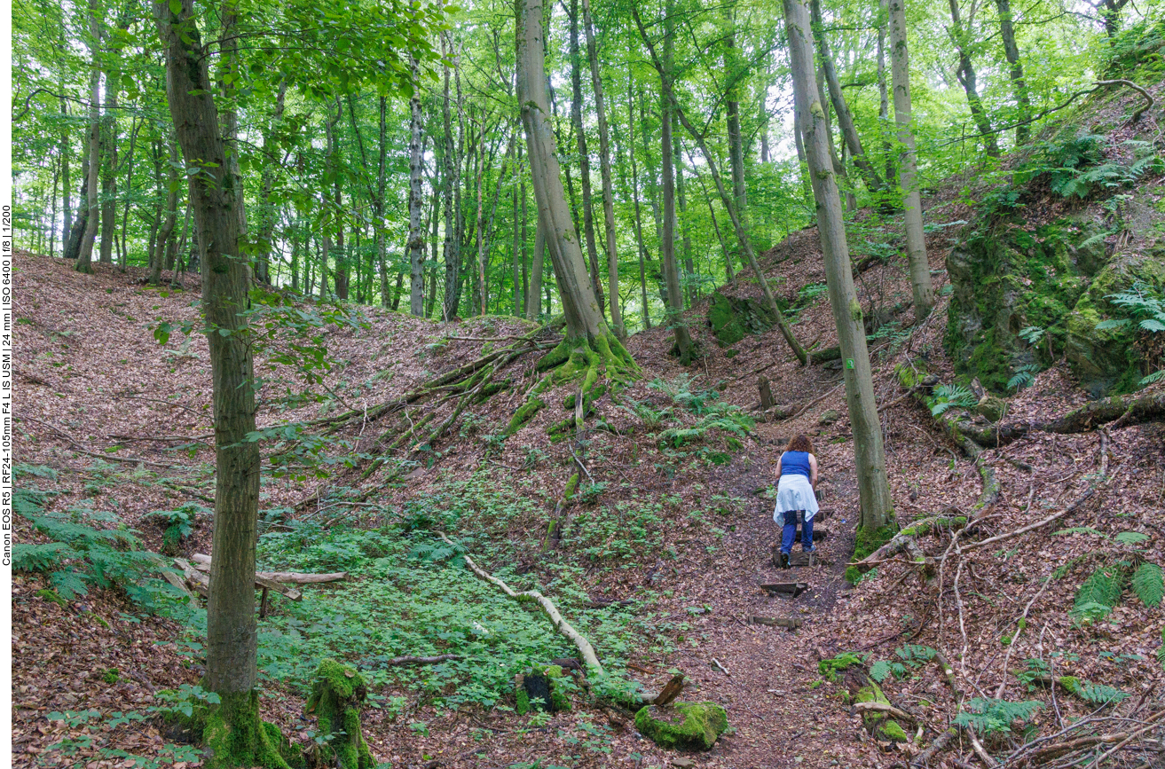 Die letzten Treppenstufen im Wald ;-) 