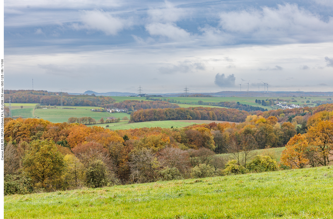 Saarwald-Landschaft