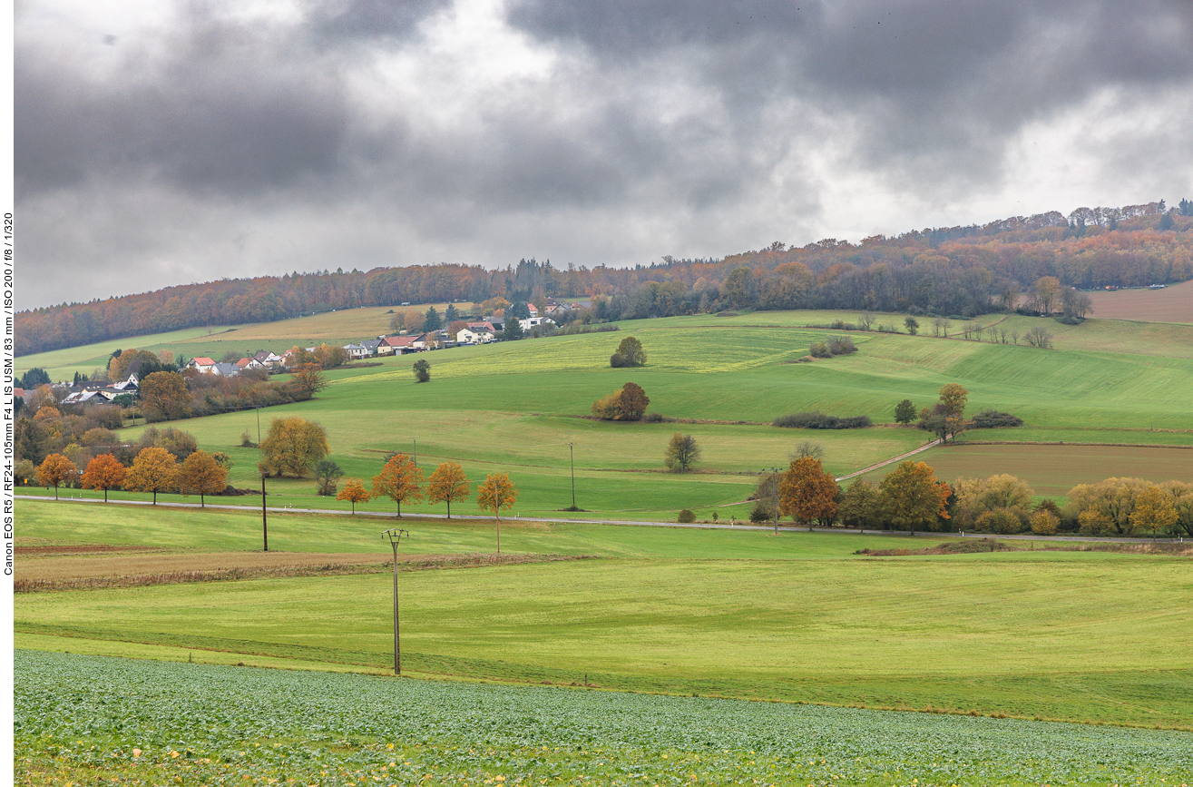 Saarwald-Landschaft