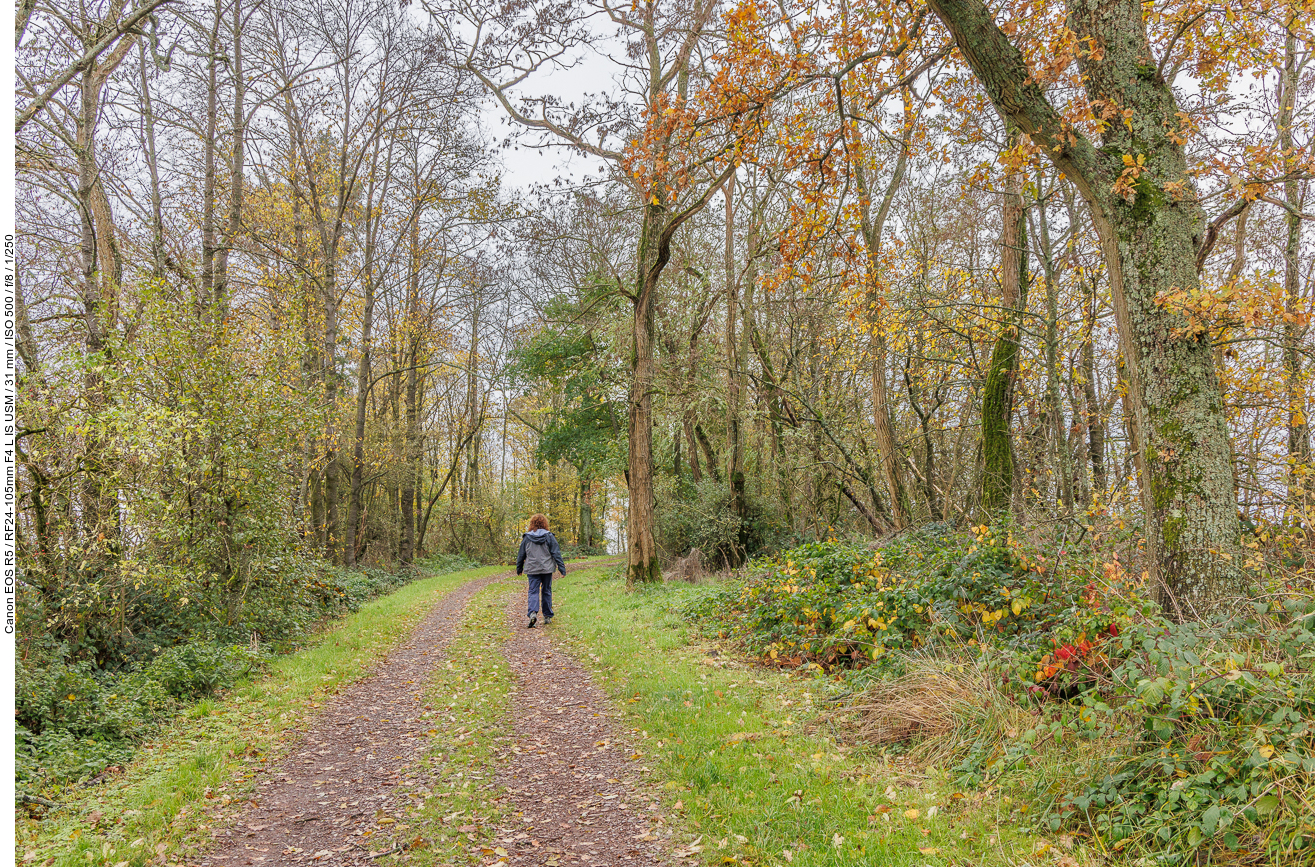 Auf dem Wanderweg