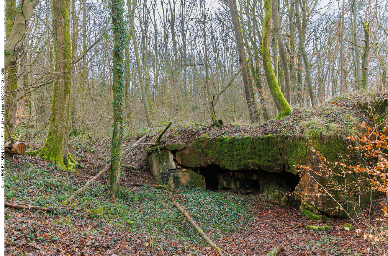 Im Wald trifft man auf mehrere Bunker