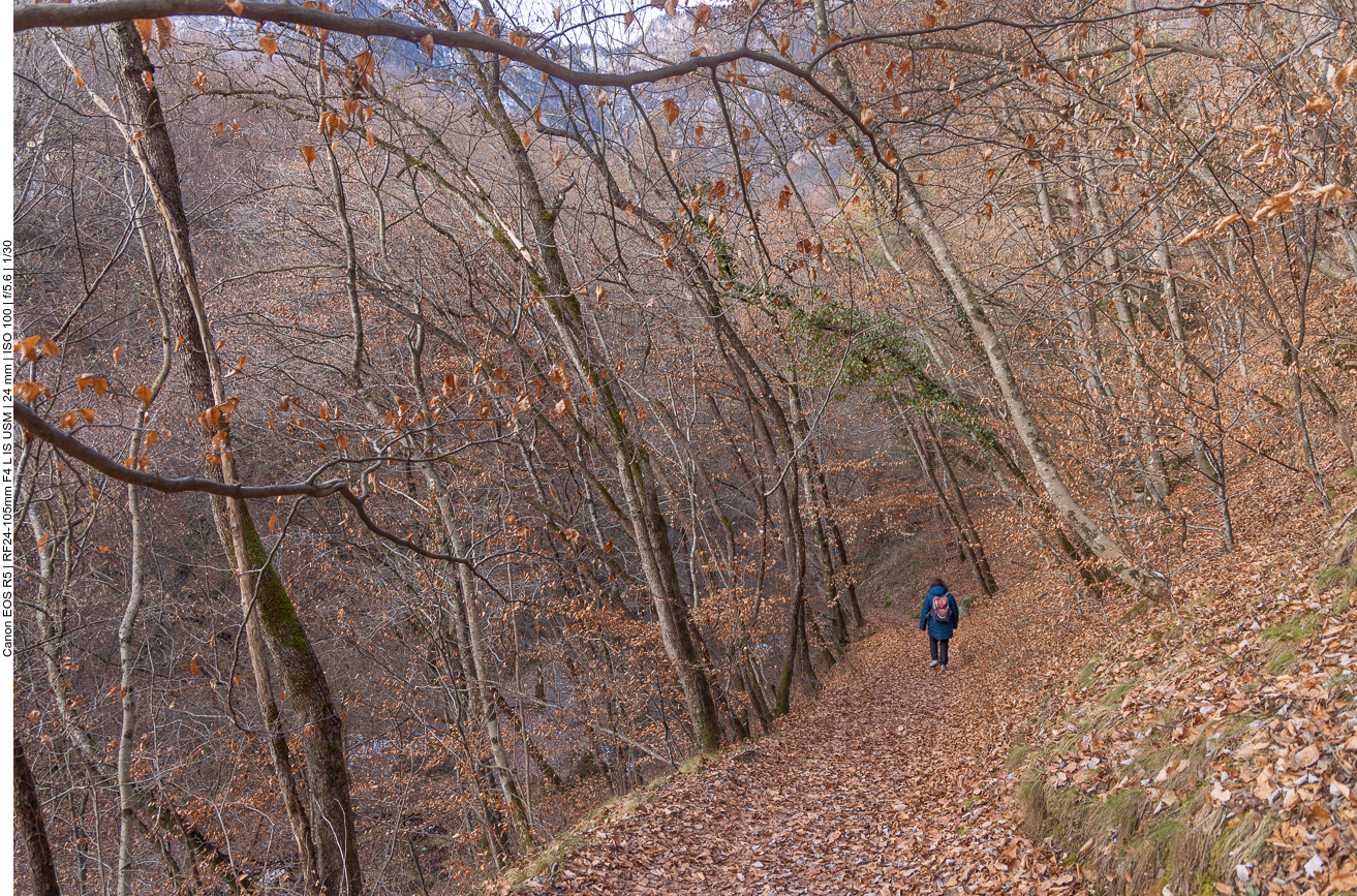 Zunächst geht es gemächlich ins Tal