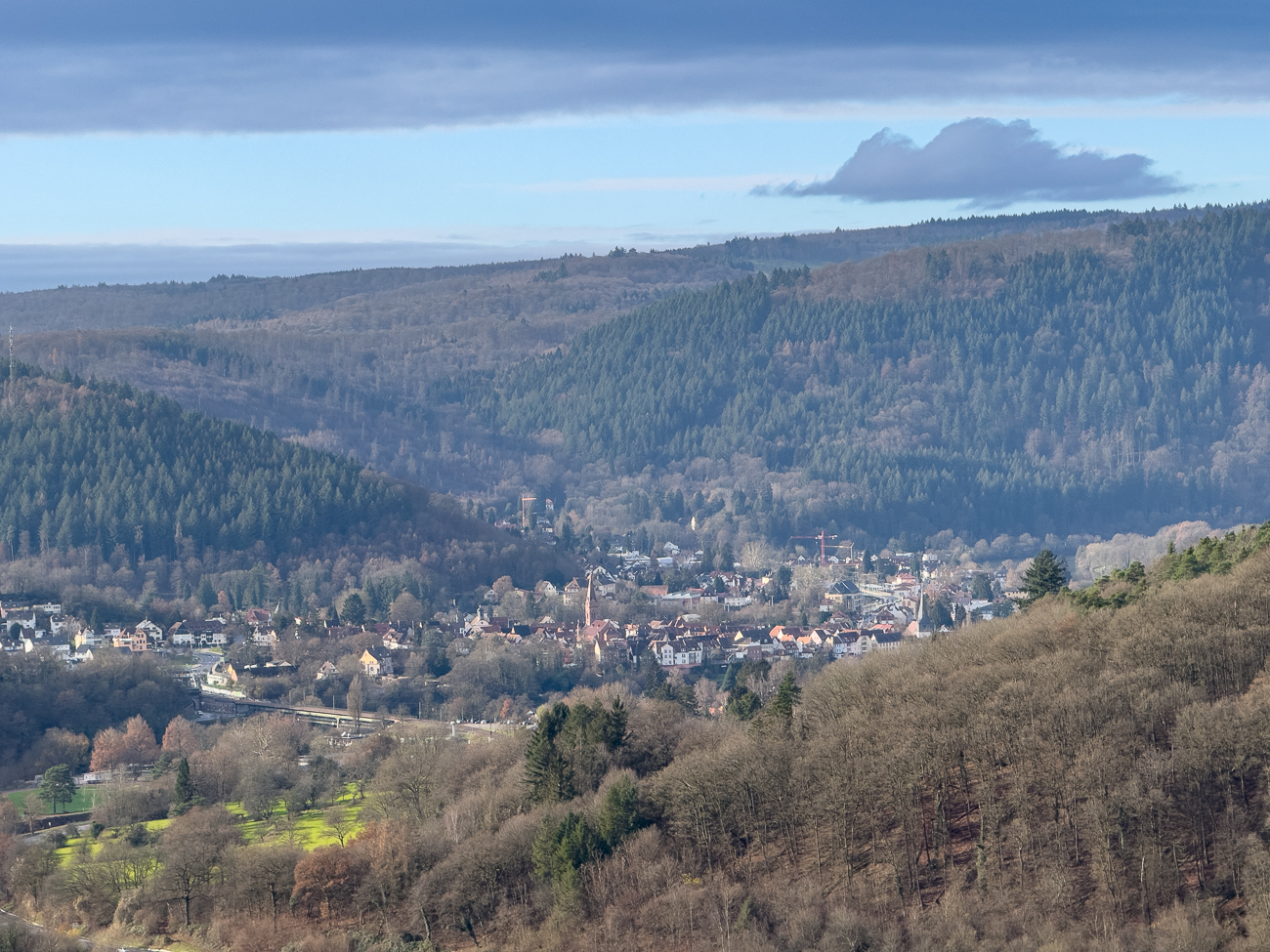 Blick ins Neckartal