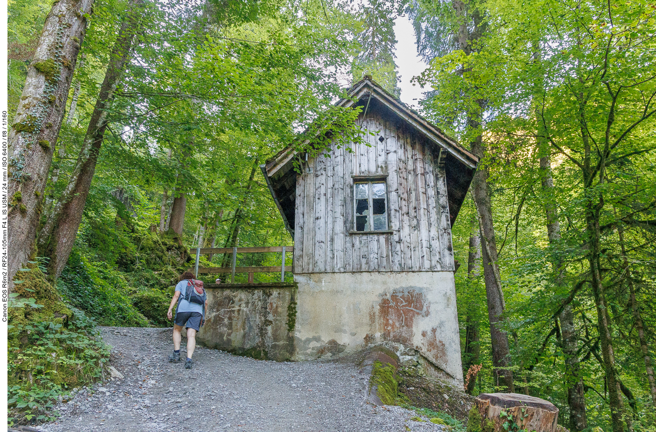 Hütte im Wald