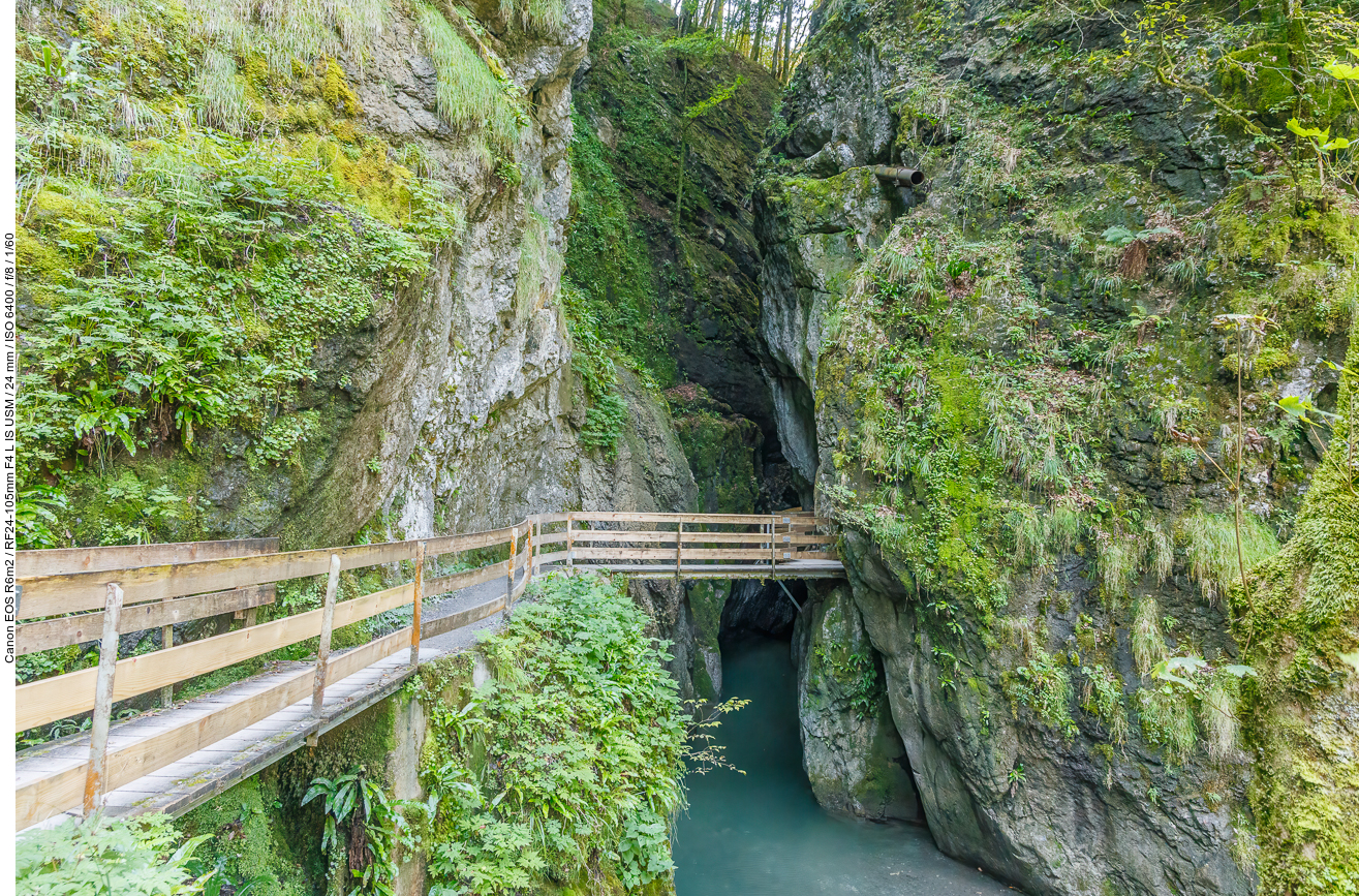 Hier geht es in die Alplochschlucht