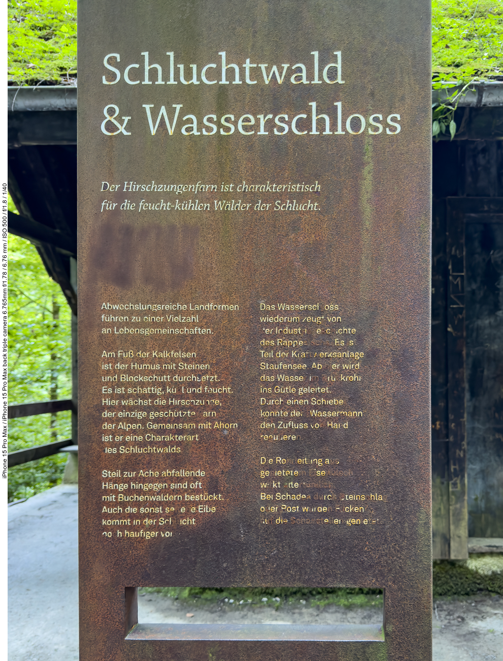 Infos zum Wasserschloss im Schluchtwald