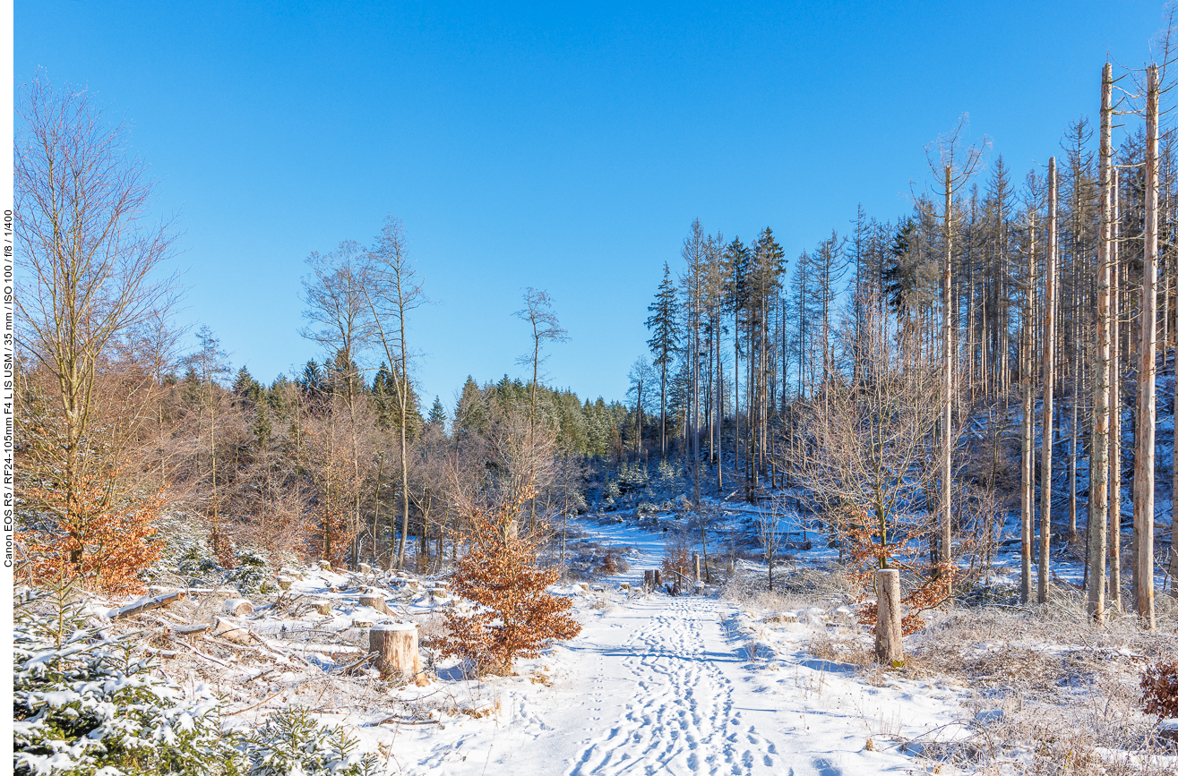 Auf dem Wanderweg