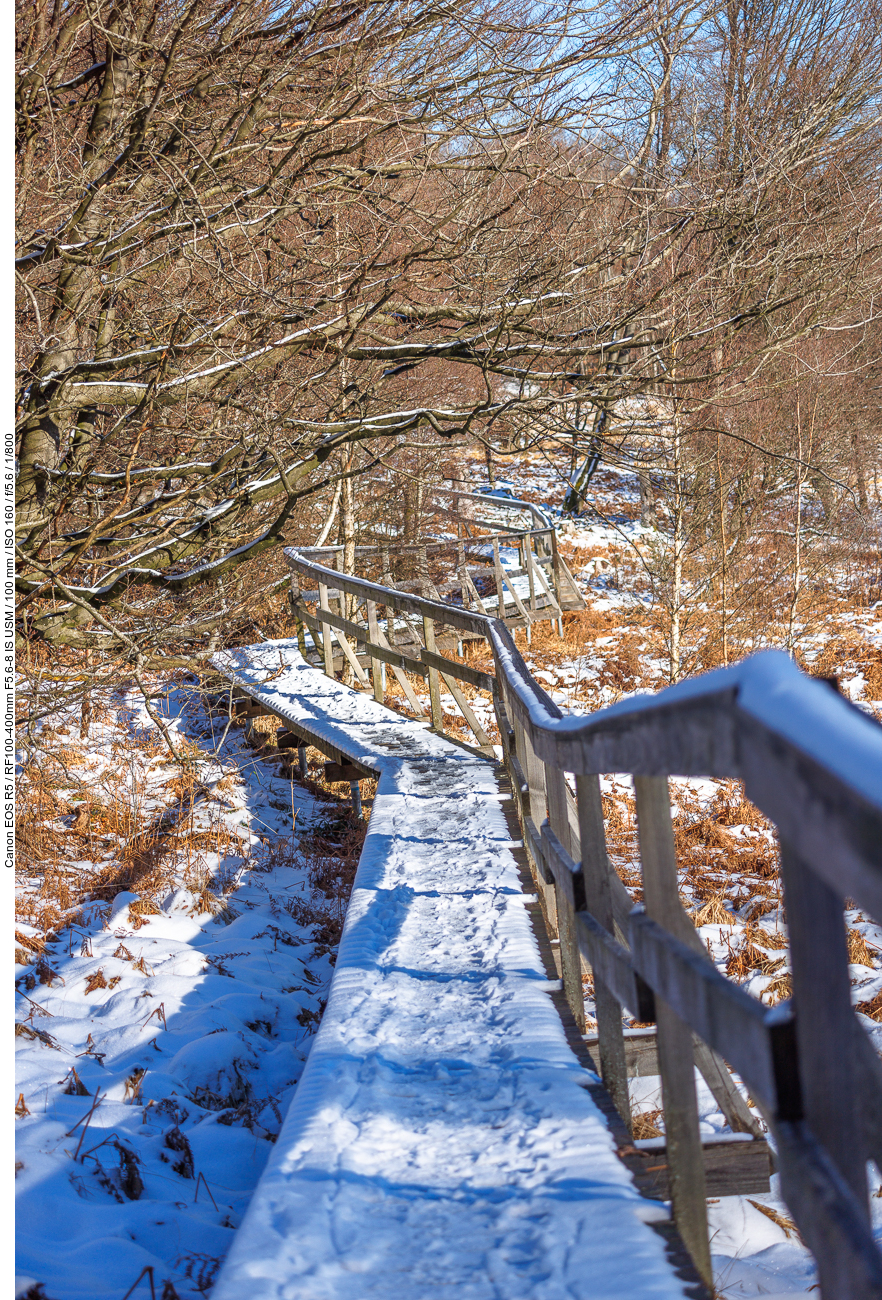 Am Ochsenbrucher Moor