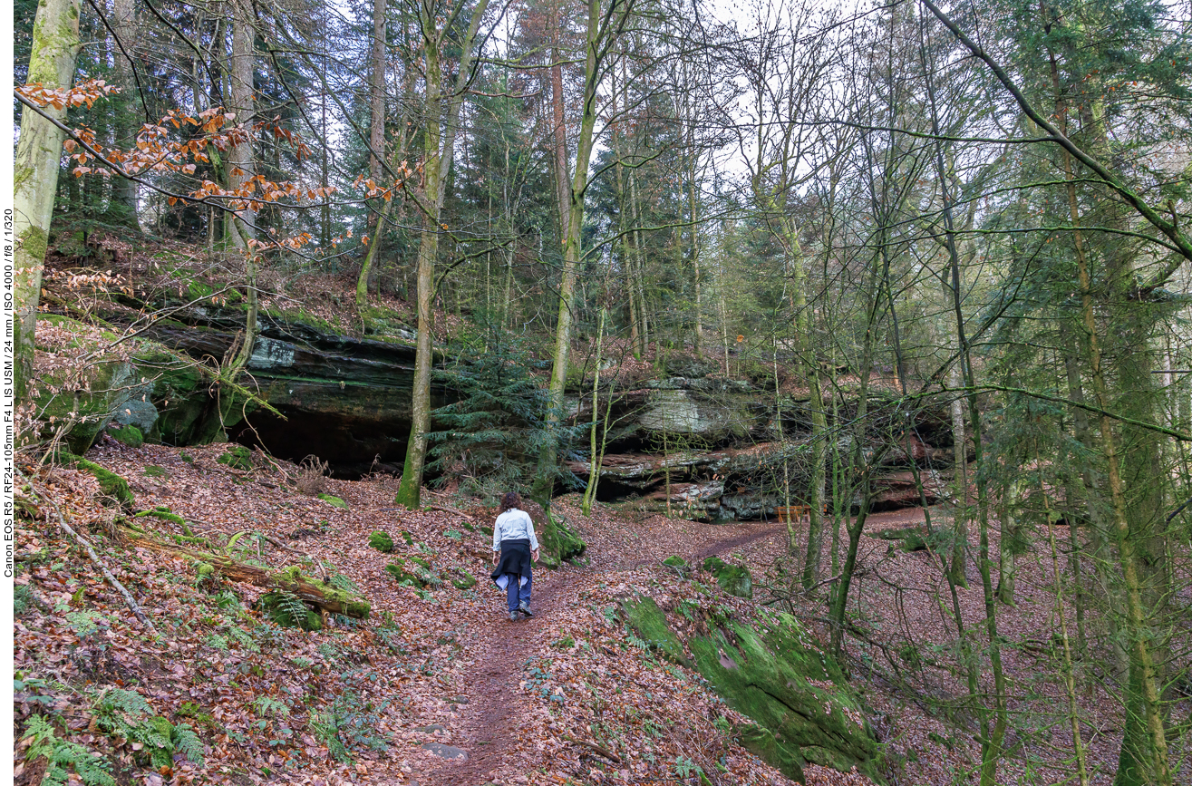 Auf dem Weg durch den Felsenwald