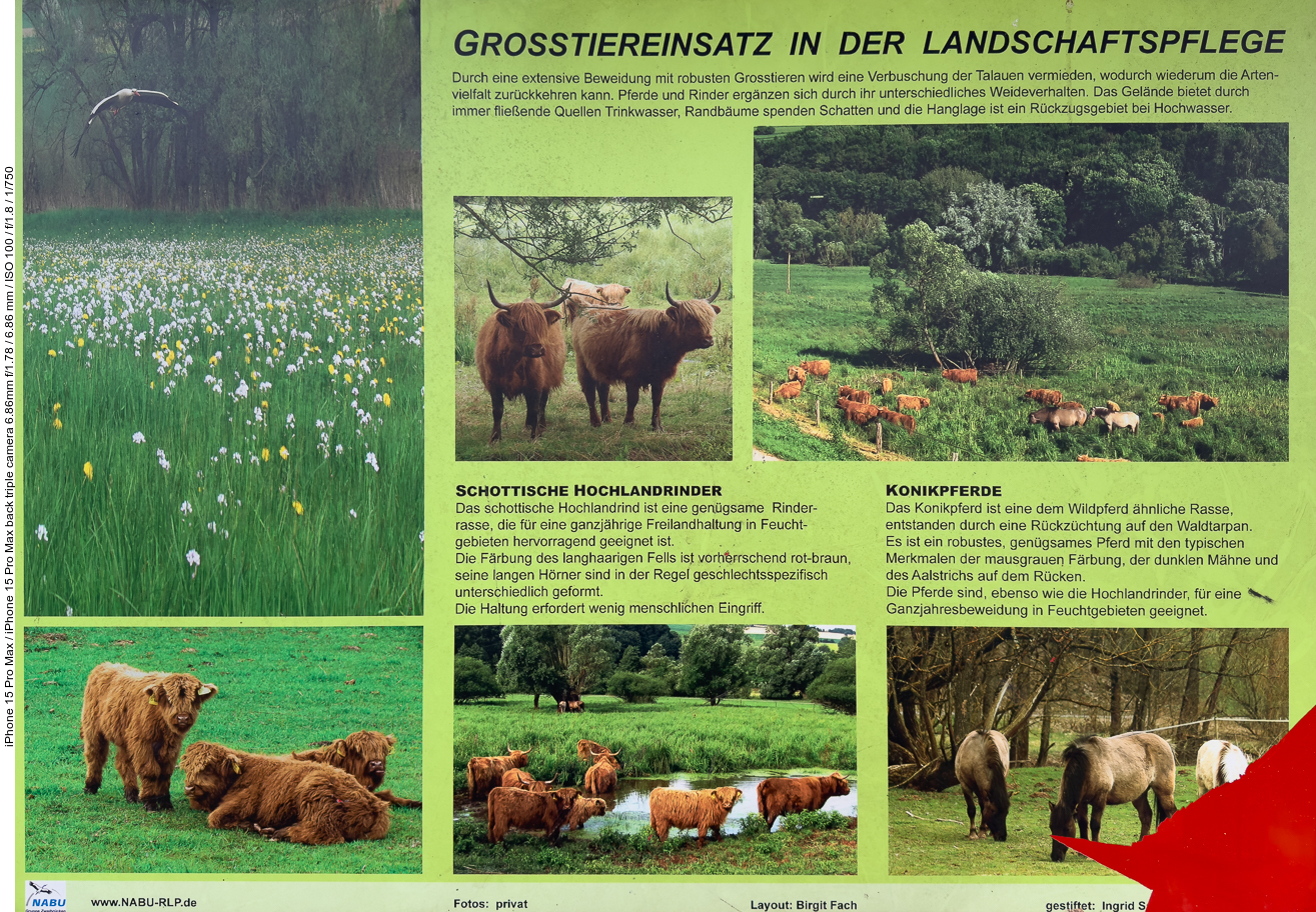 Infos zum Naturschutzgebiet "Im Bruch"