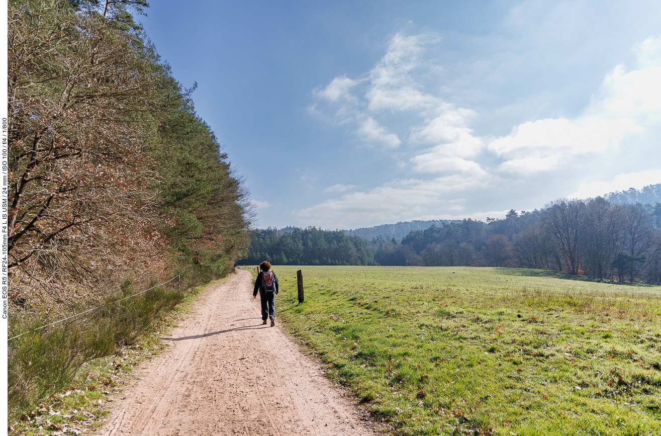 Auf der Zuwegung zum Altschloßpfad