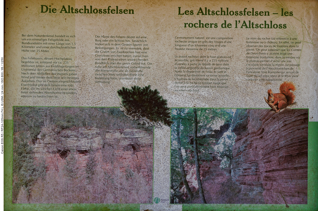 Infos zum Altschlossfelsen