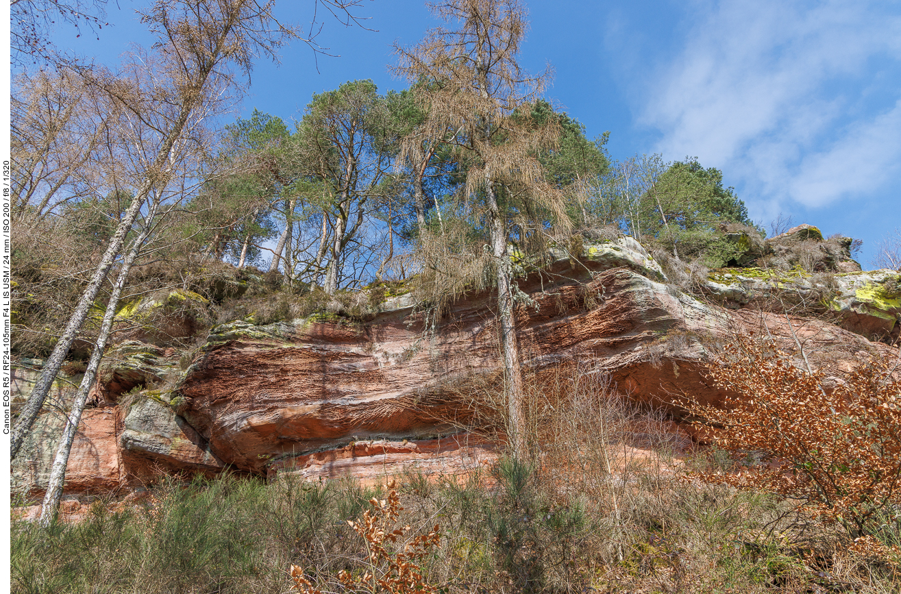 Bewachsene Felsen ...