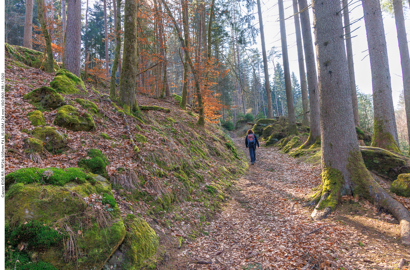 Hohle Gasse den Berg hinauf