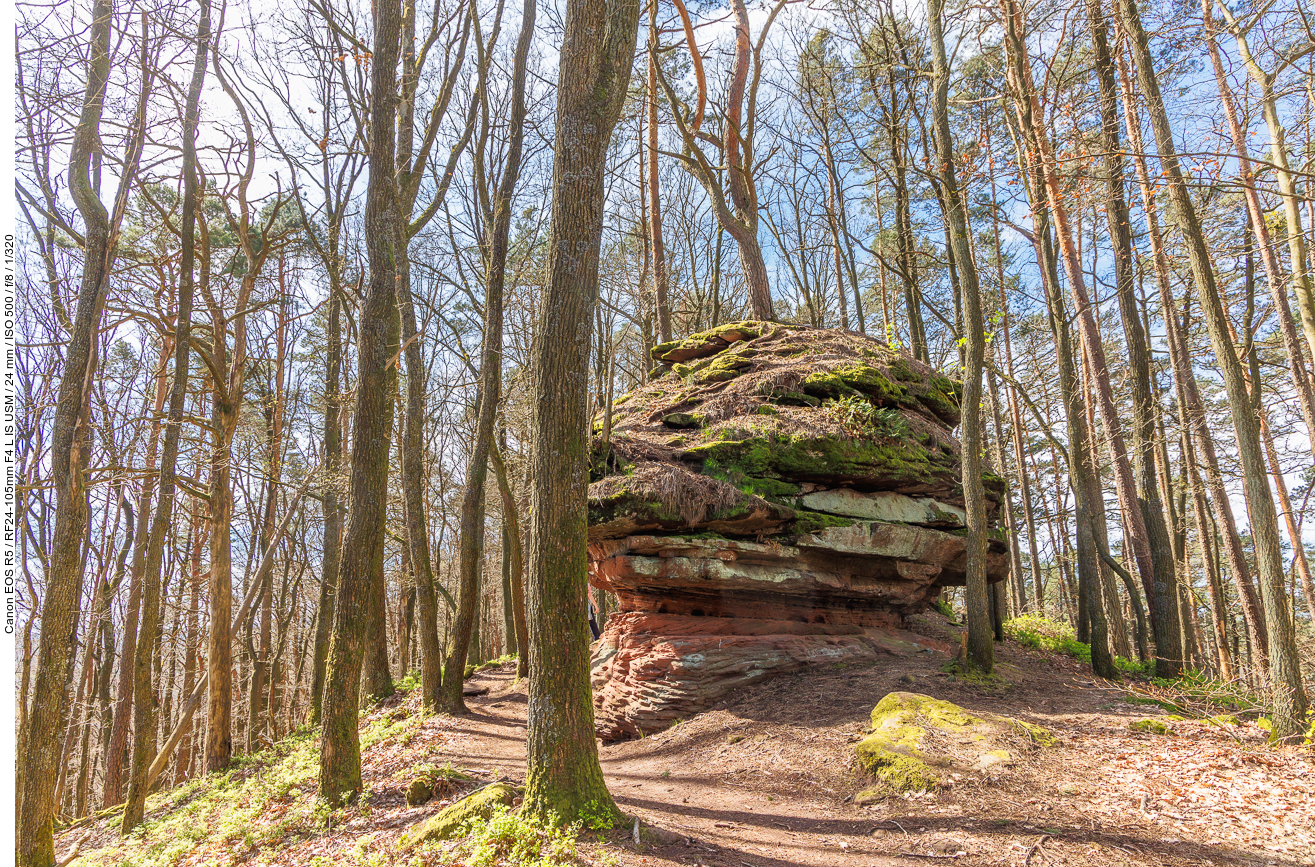 Die ersten Felsen tauchen auf