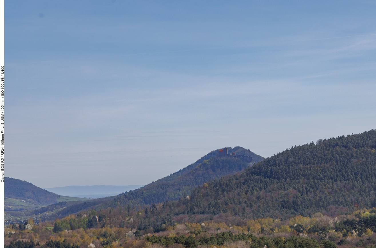 Blick zum Trifels