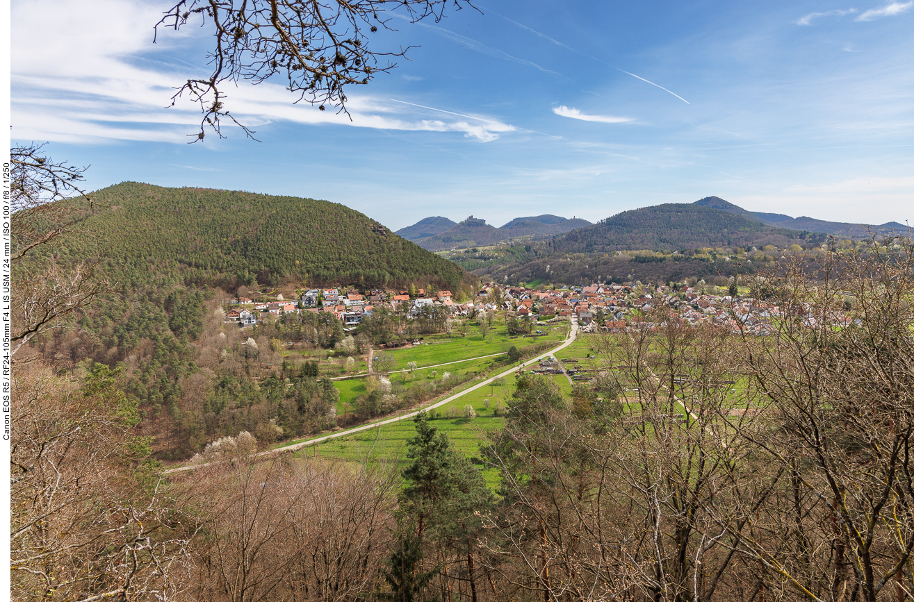 ... mit Trifelsblick, ganz hinten ...