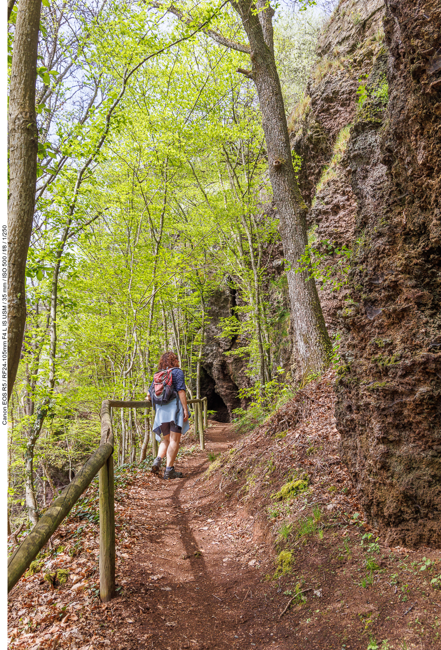 Vulkanische Felsen