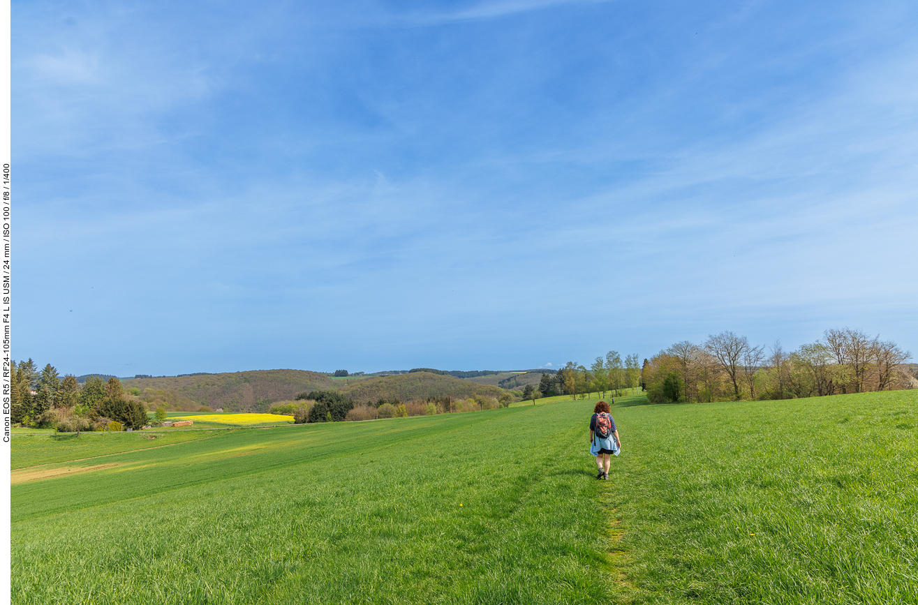 Wiesenweg