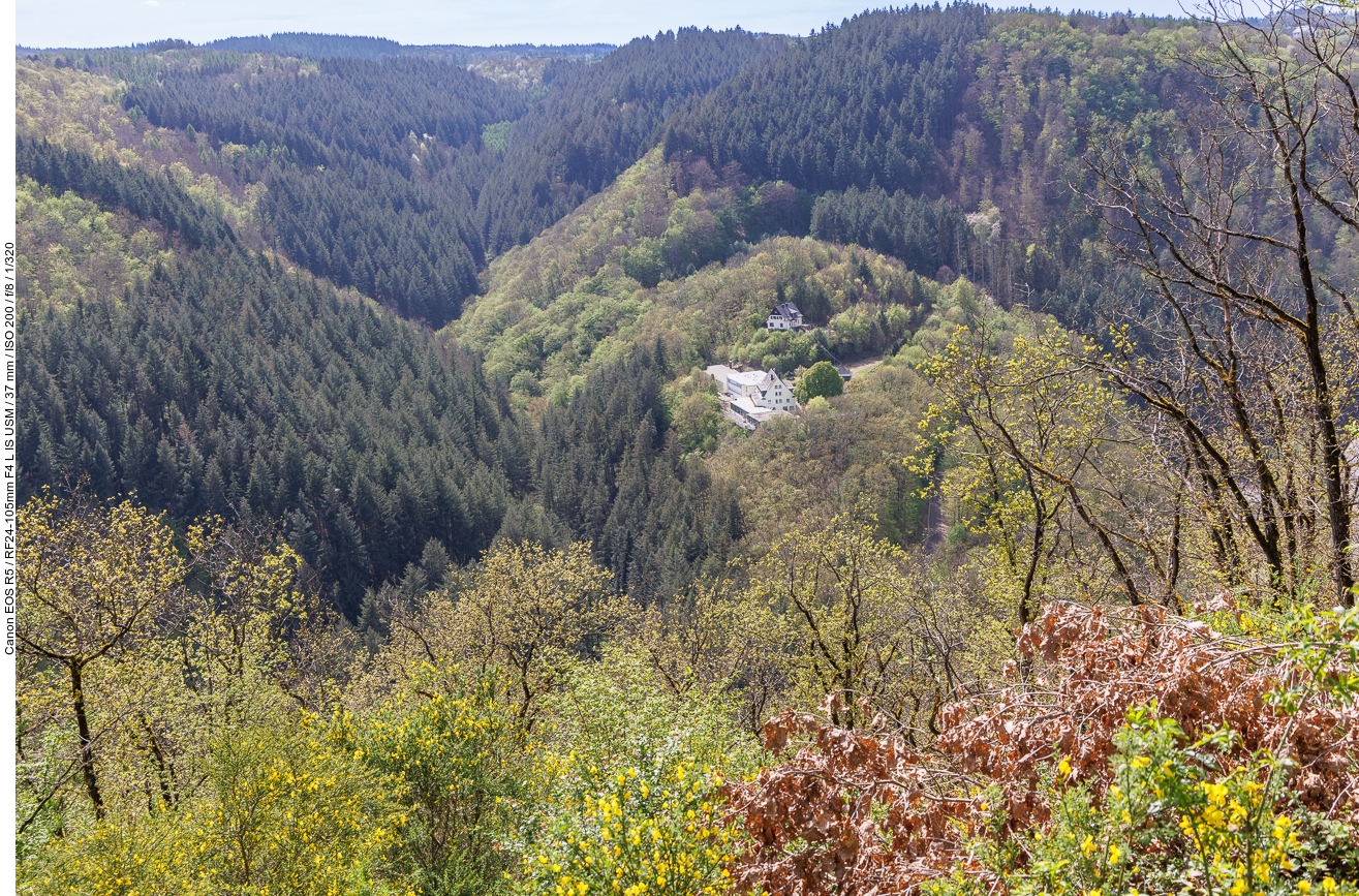 Blick auf die Marienhöhe