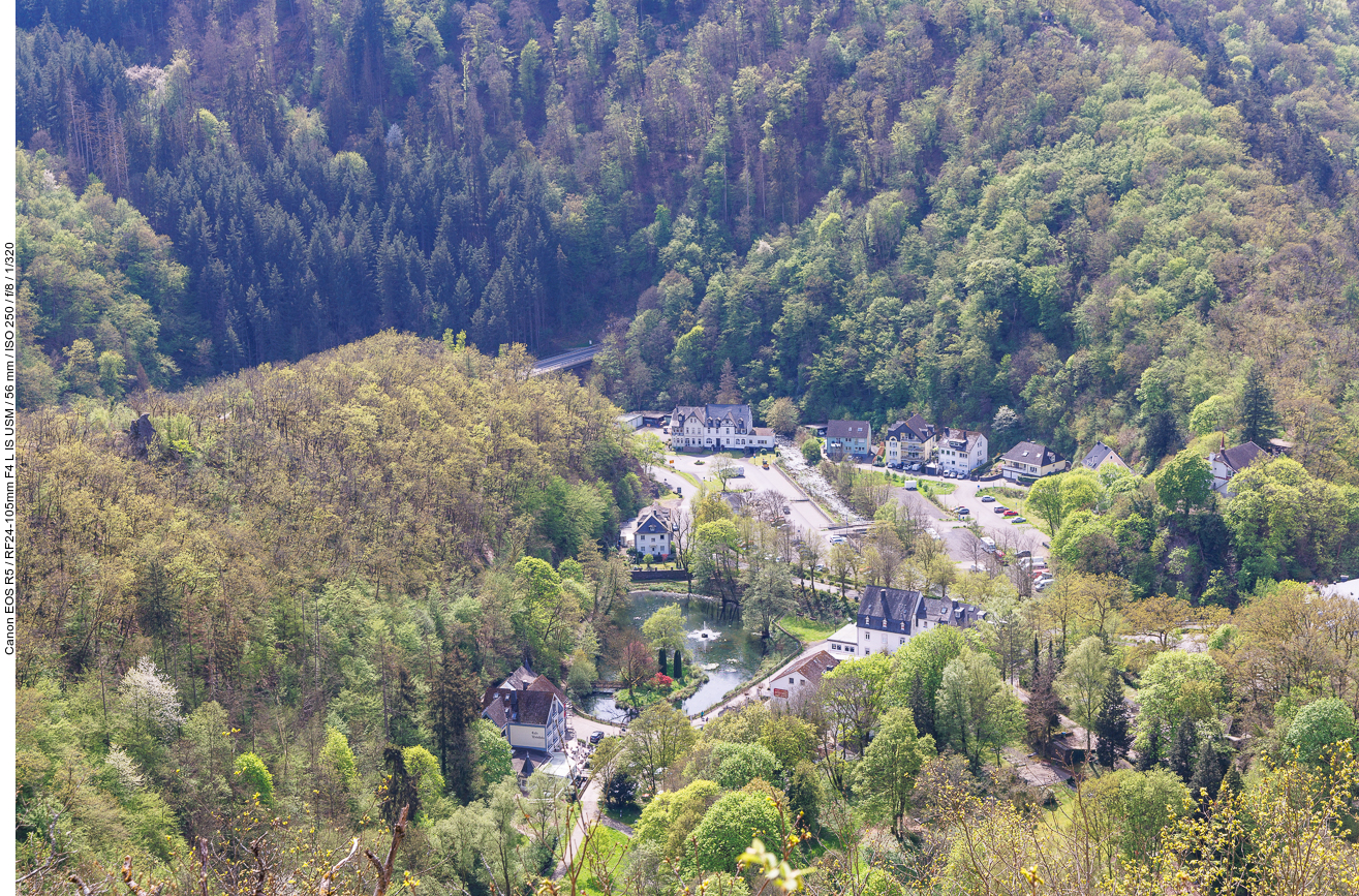 Der Schwanenweier von oben
