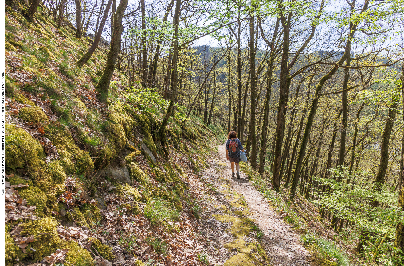 Abstieg nach Bad Bertrich