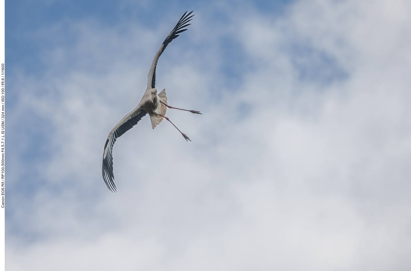 Starker Seitenwind im Anflug