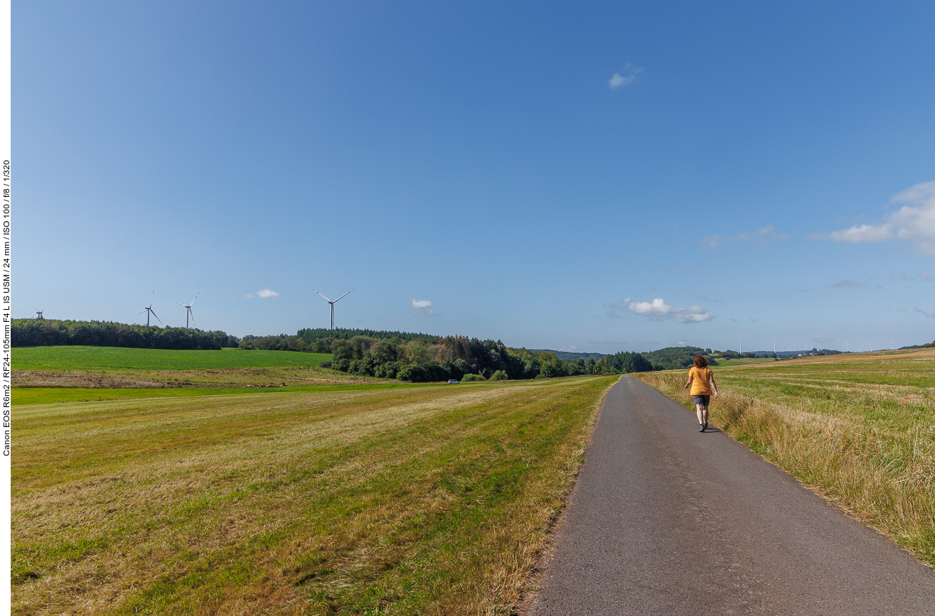 Zunächst wandern wir auf einem sonnigen Wirtschaftsweg