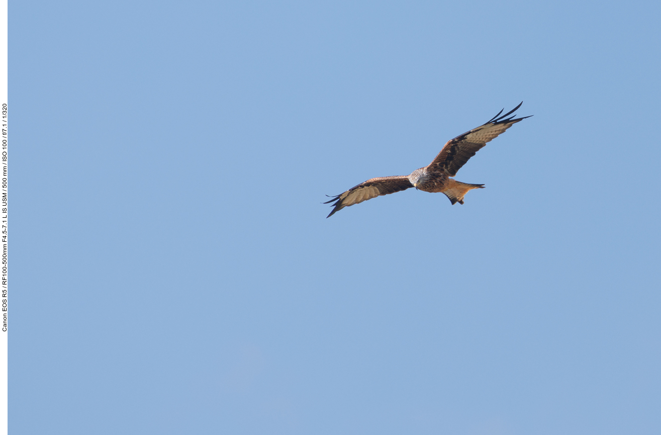 ... und da fliegt er auch schon ;-)