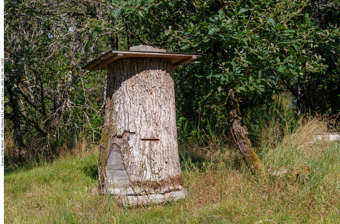 ... das sind Höhlen z. B. in Baumstämmen für Bienen