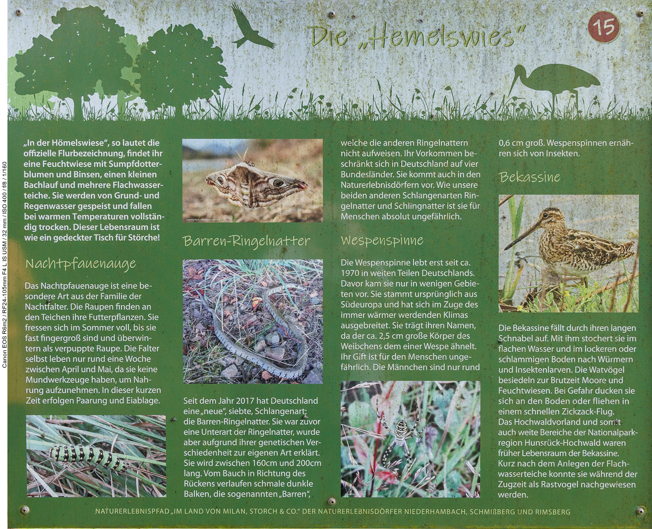 Infotafel Nr. 15: Die "Hemelswies"