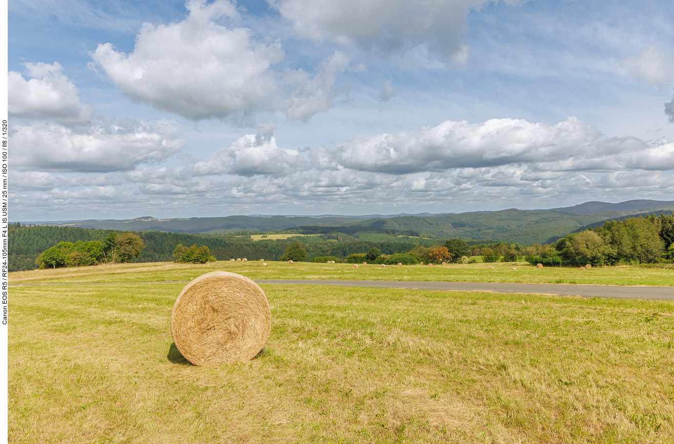 Sommerlandschaft