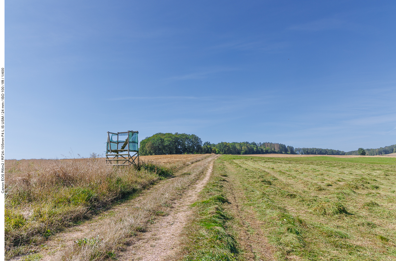 Feldweg zur Baumgruppe auf dem Hügel