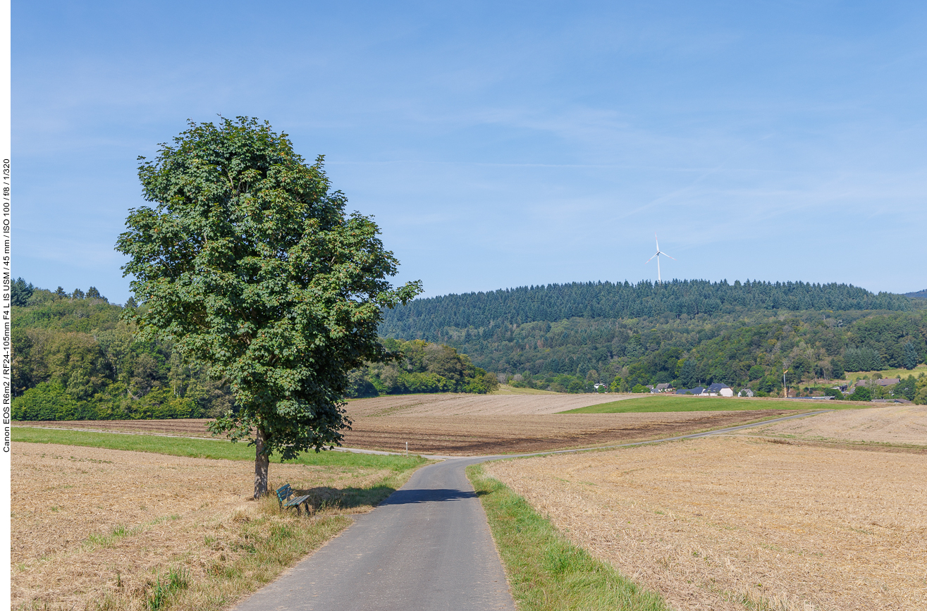 Schade, dass die Bank (noch) nicht im Schatten ist