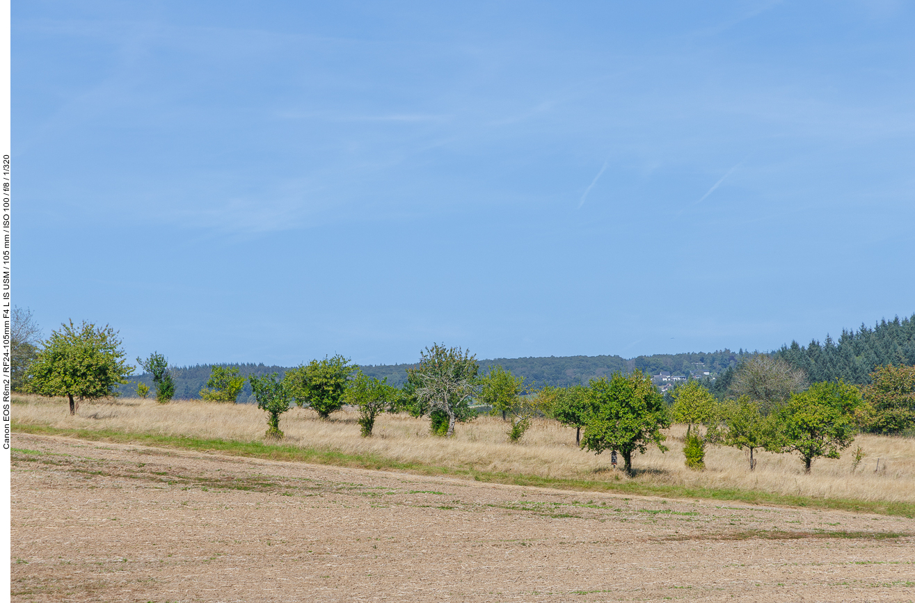Die Streuobstwiese