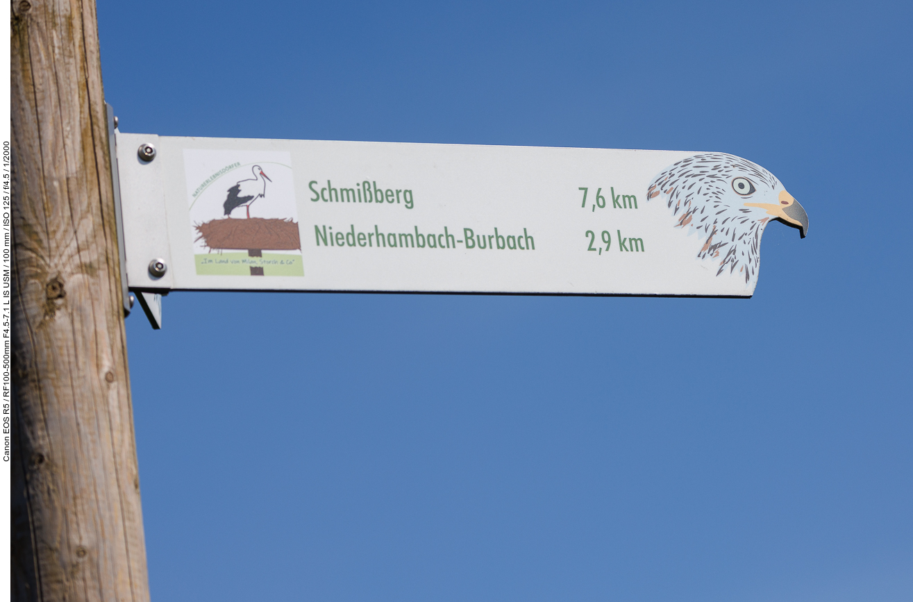 Schönes Schild mit Kopf eines Rotmilans