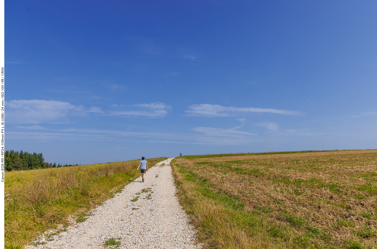 Kiesweg zur Kuppe